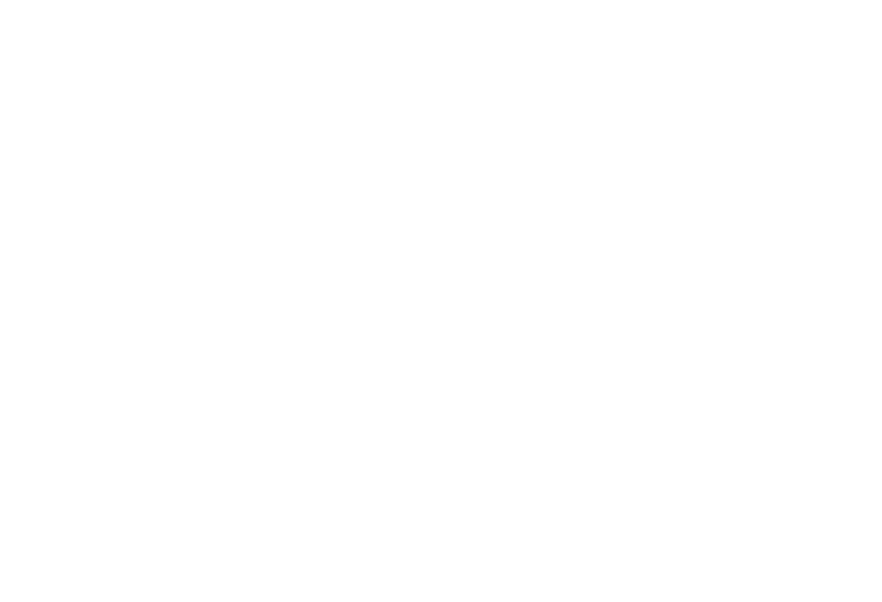 Logo of University of Girona