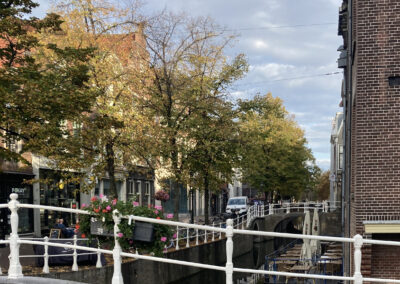 An Image of a canal. To it's left is a row of trees along a narrow street. A small blue boat floats on the water.